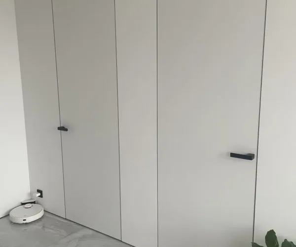 Двери-невидимки в Борисове